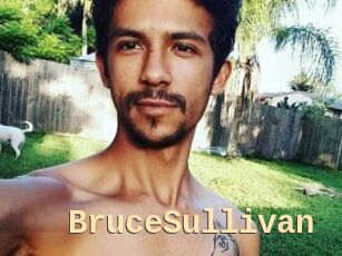 Bruce_Sullivan