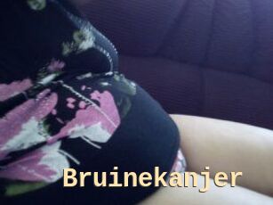 Bruinekanjer