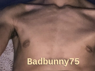 Badbunny75