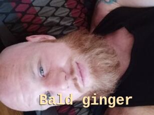 Bald_ginger