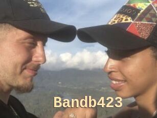 Bandb423