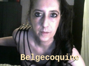 Belgecoquine