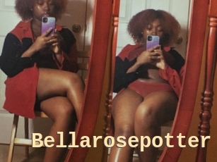 Bellarosepotter