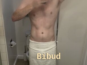 Bibud