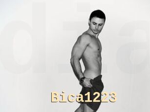 Bica1223