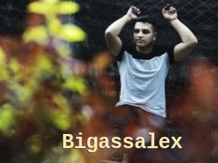 Bigassalex