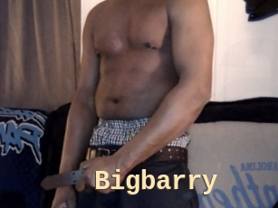 Bigbarry