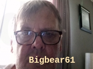 Bigbear61