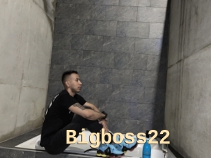 Bigboss22