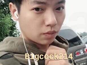 Bigcock214