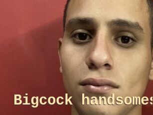 Bigcock_handsomes