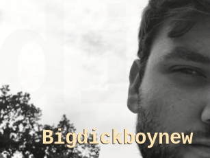 Bigdickboynew