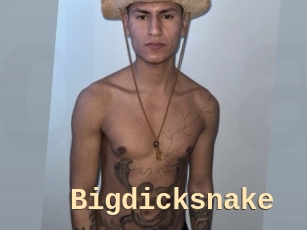 bigdicksnake Dialogue Sexe