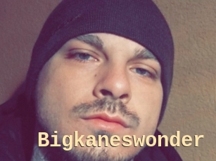 Bigkaneswonder