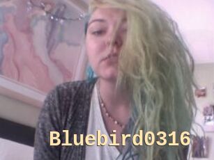 Bluebird0316