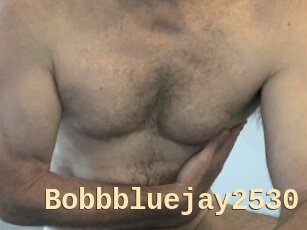 Bobbbluejay2530