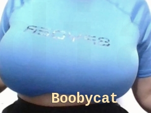 Boobycat