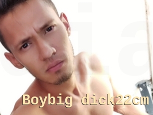 Boybig_dick22cm