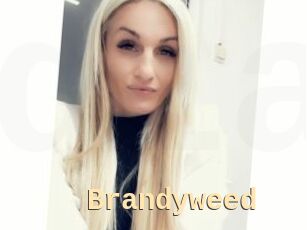 Brandyweed