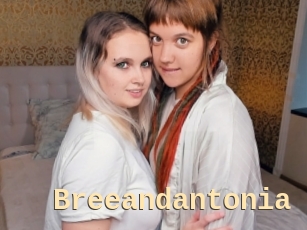 Breeandantonia