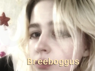 Breeboggus