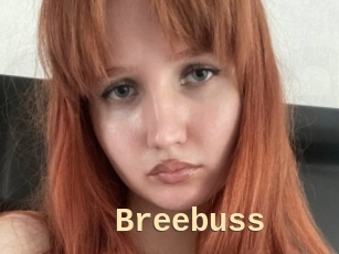 Breebuss