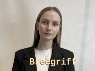 Breegriff