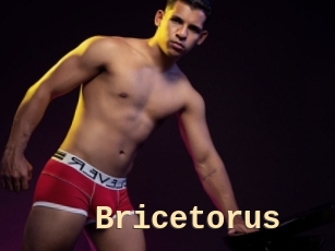 Bricetorus