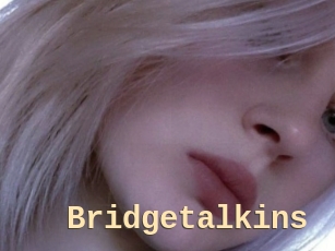 Bridgetalkins