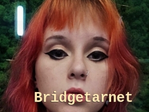 Bridgetarnet