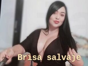 Brisa_salvaje