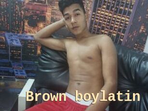 Brown_boylatin