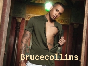 Brucecollins