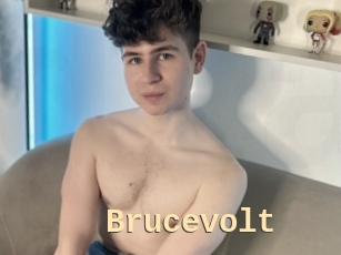 Brucevolt