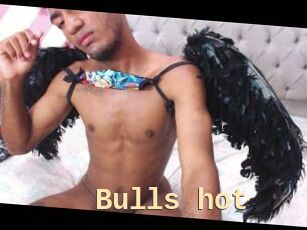 Bulls_hot