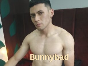 Bunnybad