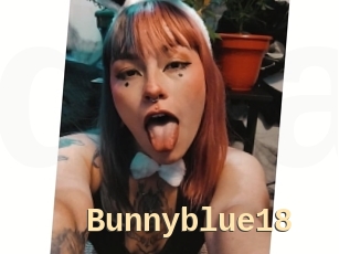 Bunnyblue18