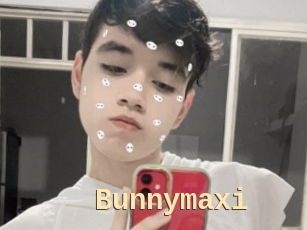 Bunnymaxi