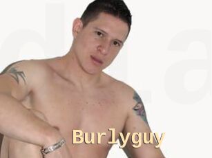 Burlyguy