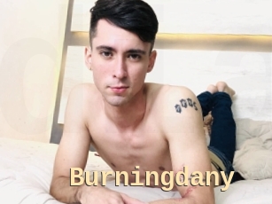 Burningdany