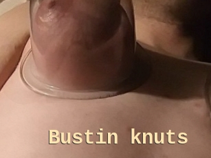 Bustin_knuts