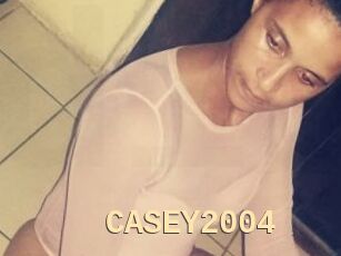 CASEY2004