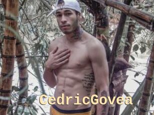 CedricGovea