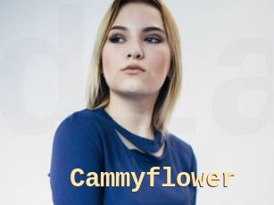 Cammyflower