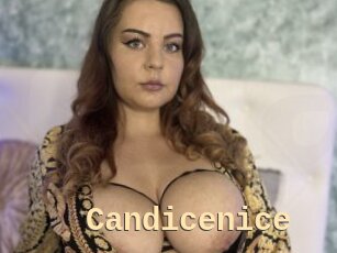 Candicenice