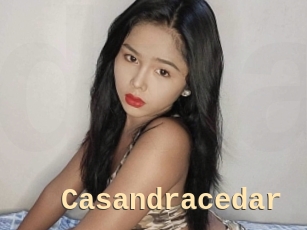 Casandracedar