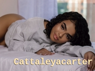 Cattaleyacarter