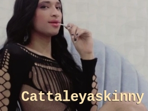 Cattaleyaskinny