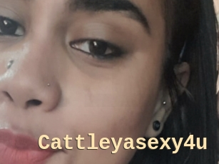 Cattleyasexy4u