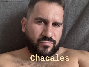 Chacales